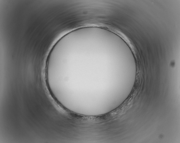 X0000116680811201001111330