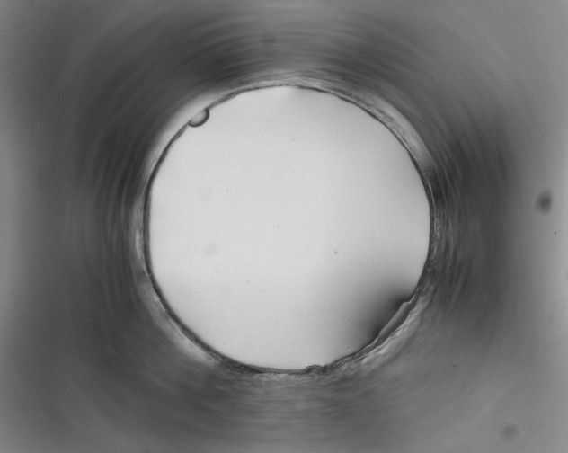 X0000116680812201001111330