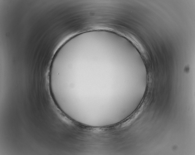 X0000116680814201001111330