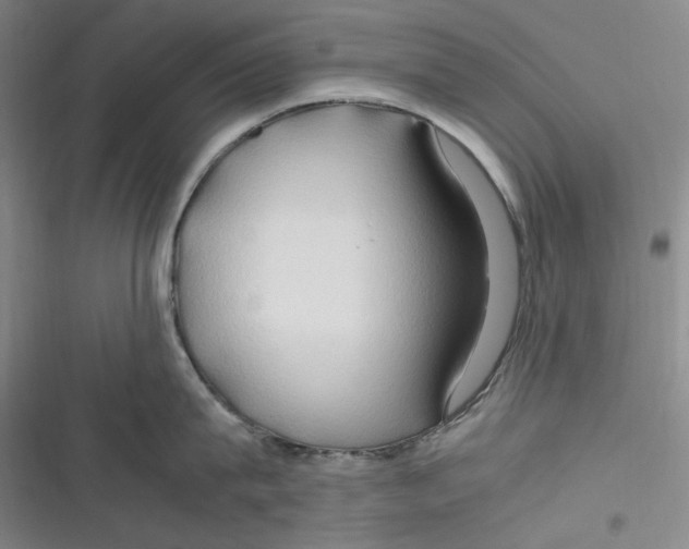 X0000116680815201001111330