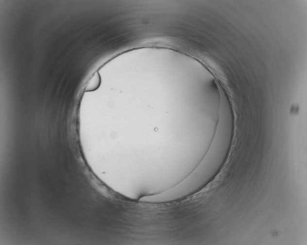 X0000116680816201001111330