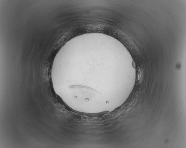 X0000116680819201001111330