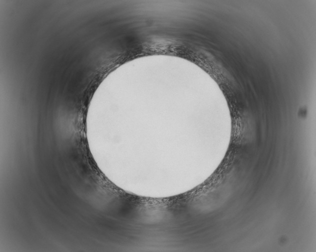 X0000116680820201001111330