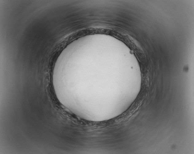 X0000116680821201001111330