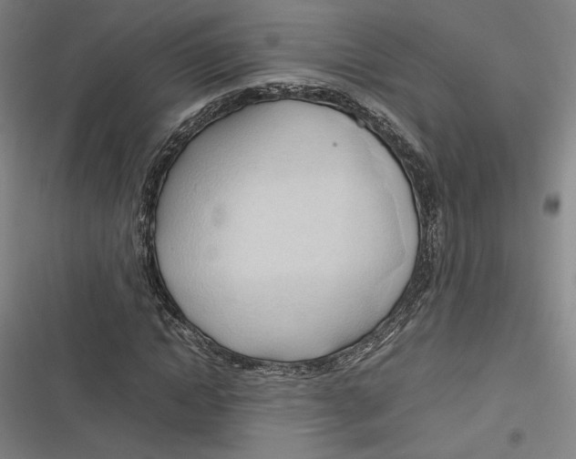 X0000116680822201001111330