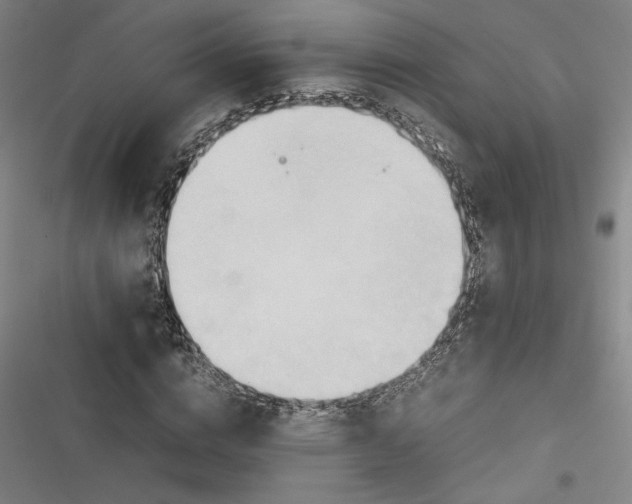 X0000116680824201001111330