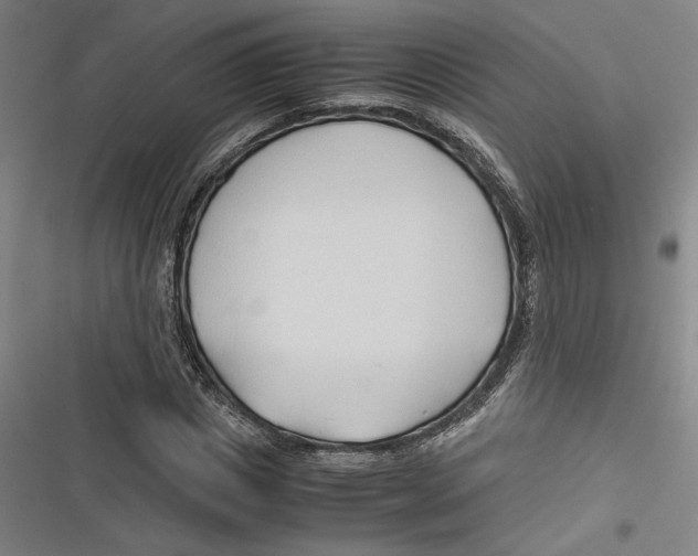 X0000116680825201001111330