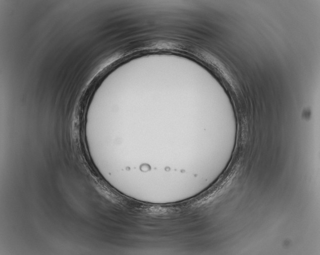 X0000116680827201001111330