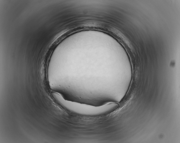 X0000116680829201001111330