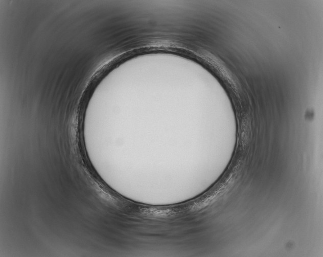 X0000116680831201001111330