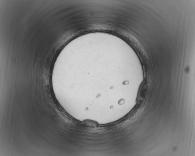 X0000116680833201001111330