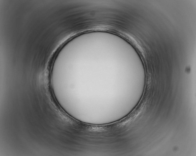 X0000116680835201001111330