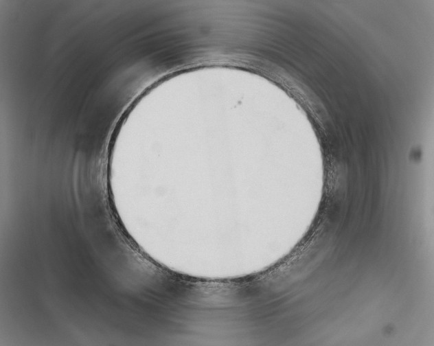 X0000116680836201001111330