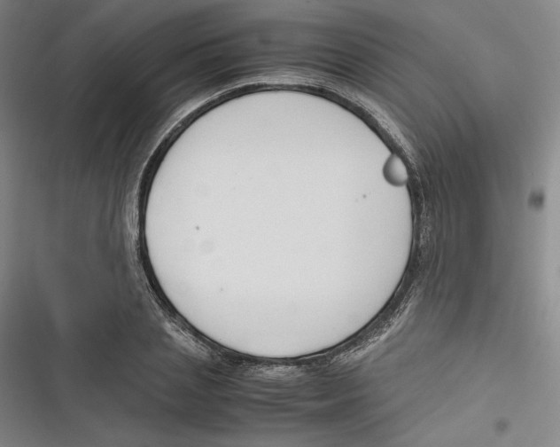 X0000116680837201001111330