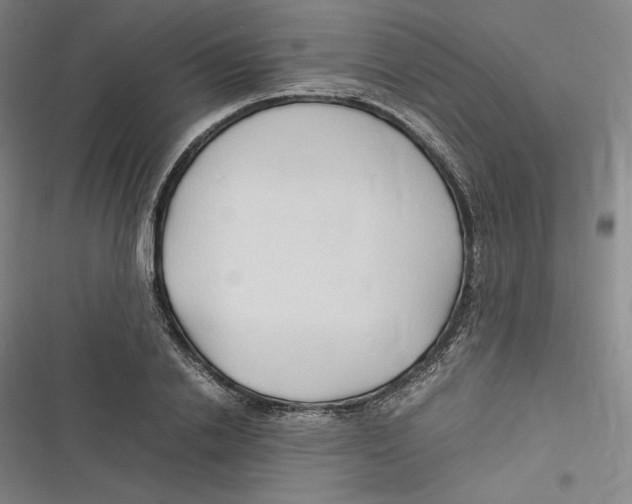 X0000116680838201001111330