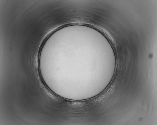 X0000116680839201001111330