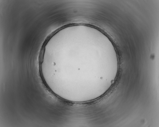 X0000116680840201001111330