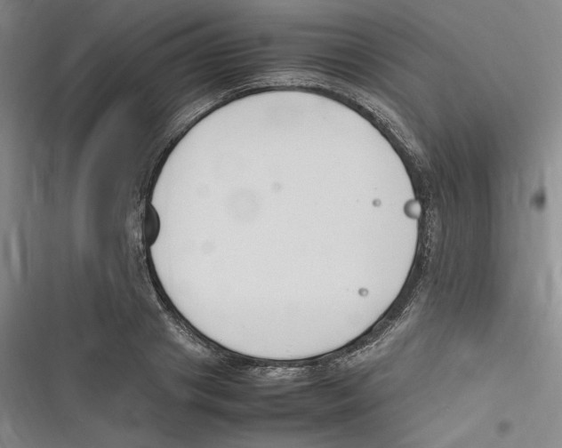 X0000116680841201001111330