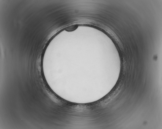 X0000116680842201001111330