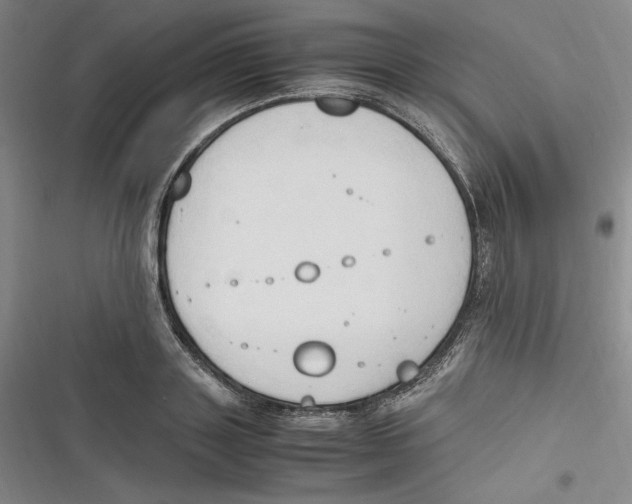 X0000116680843201001111330