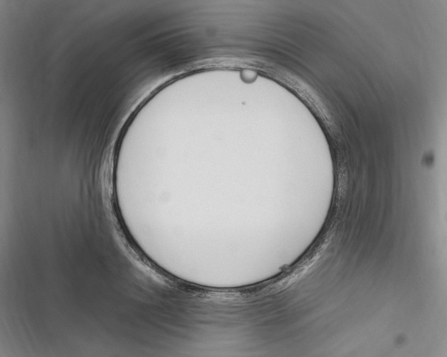 X0000116680844201001111330