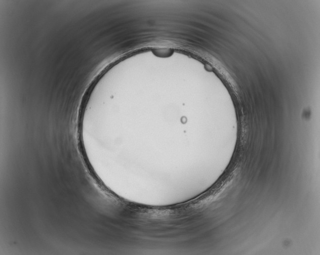 X0000116680845201001111330