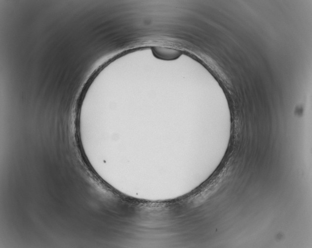 X0000116680846201001111330