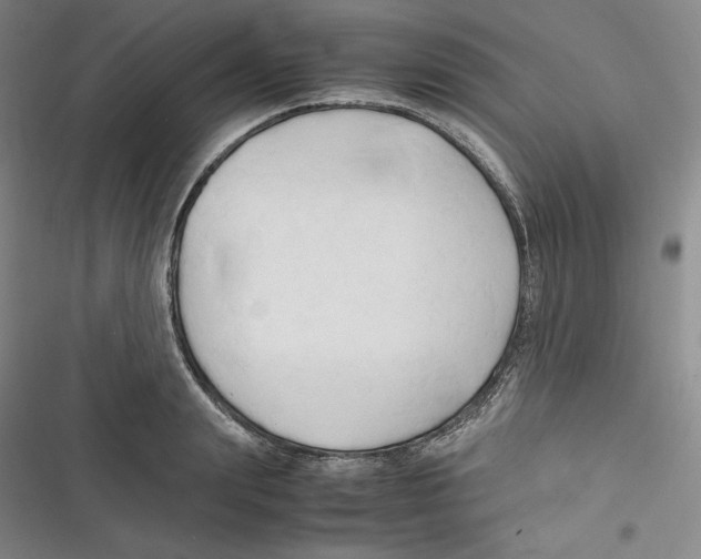 X0000116680847201001111330