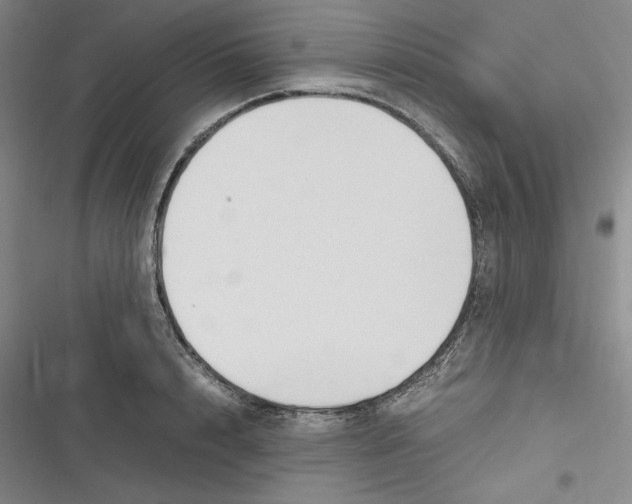 X0000116680848201001111330