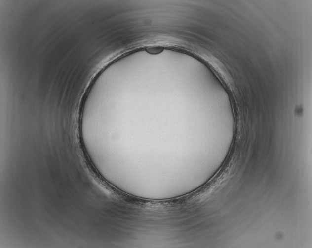 X0000116680850201001111330