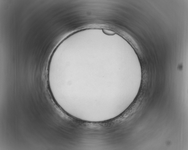 X0000116680852201001111330