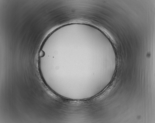 X0000116680854201001111330