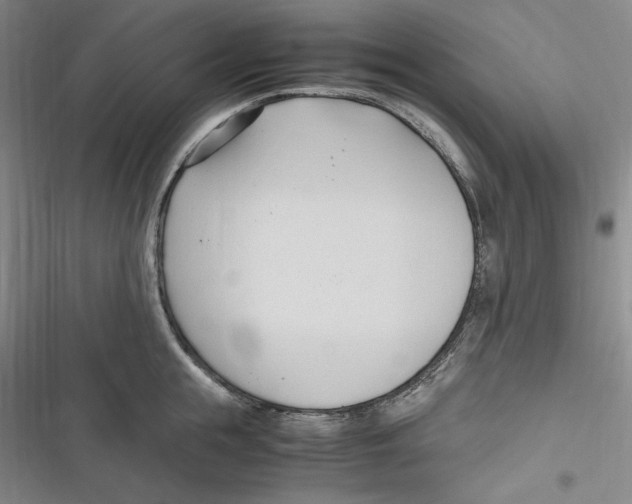 X0000116680855201001111330