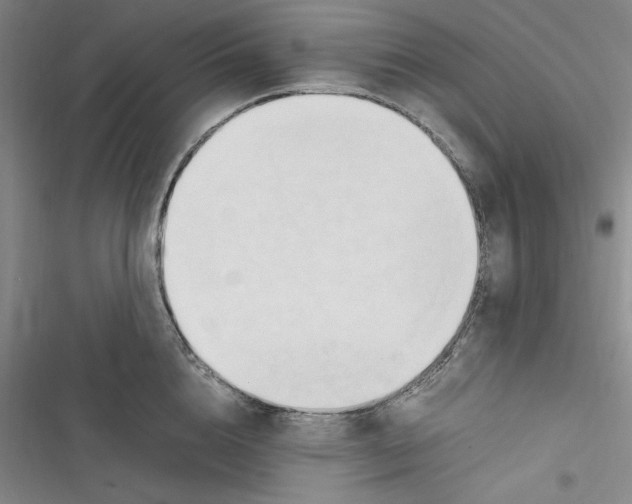 X0000116680856201001111330