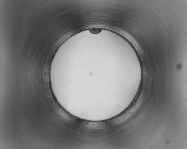 X0000116680857201001111330