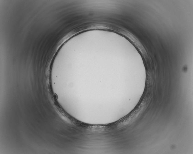 X0000116680858201001111330