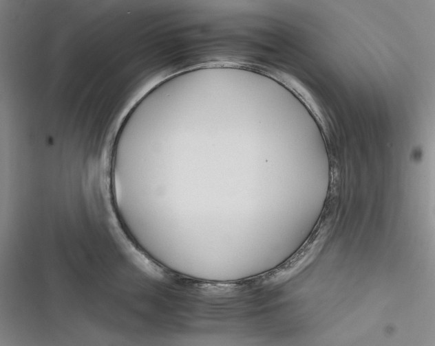 X0000116680859201001111330