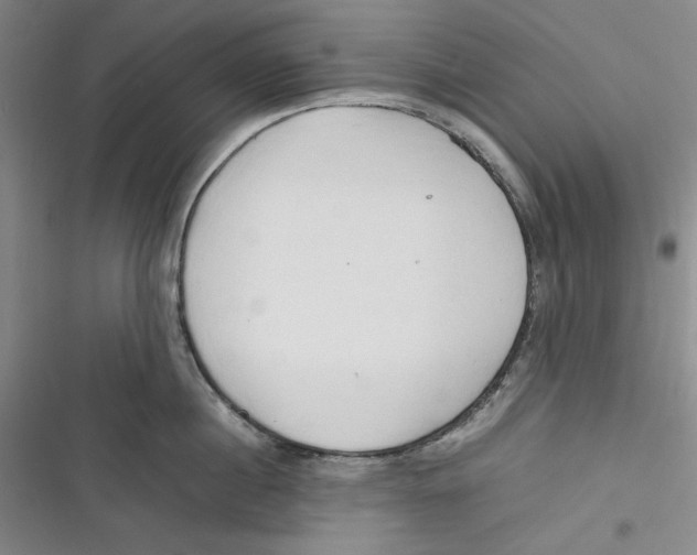 X0000116680860201001111330