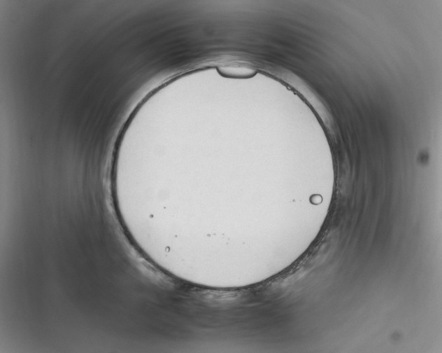 X0000116680861201001111330