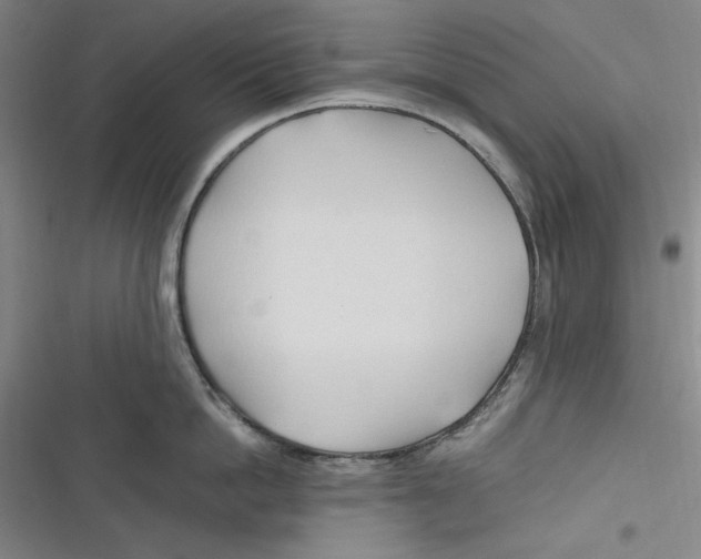 X0000116680862201001111330