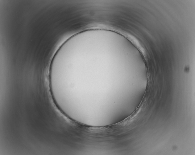 X0000116680863201001111330