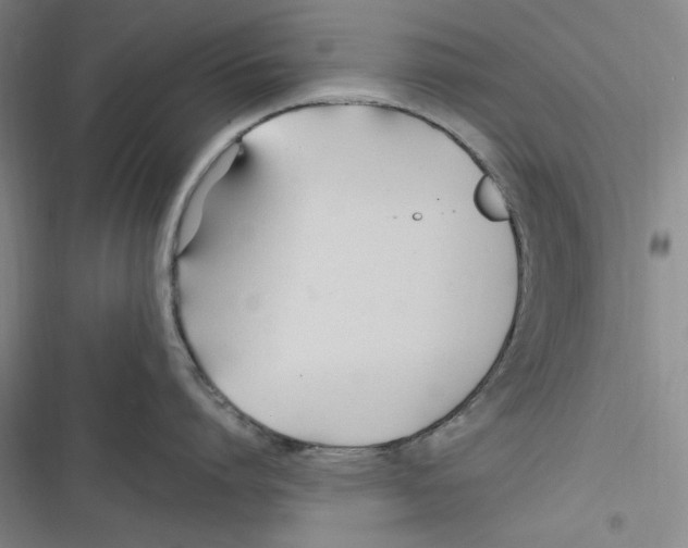 X0000116680864201001111330