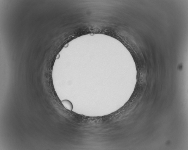 X0000116680865201001111330