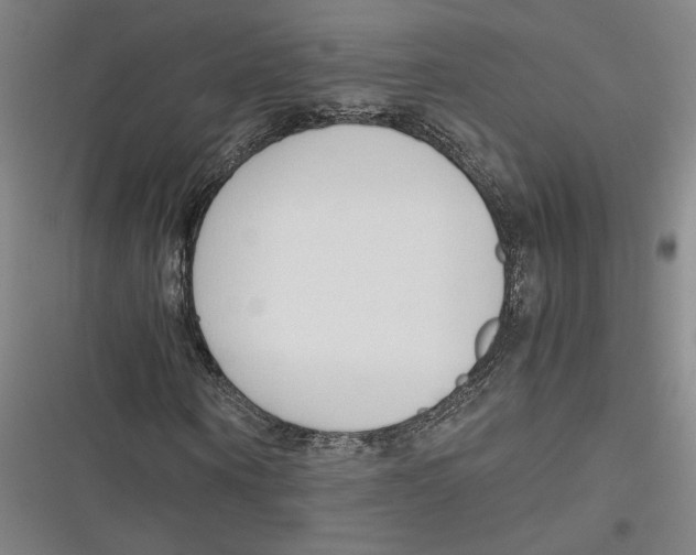 X0000116680866201001111330