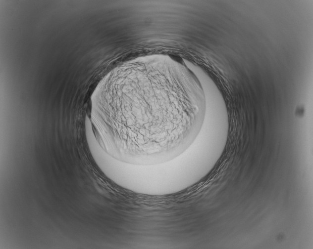 X0000116680868201001111330