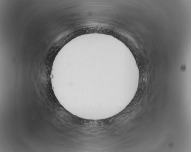 X0000116680869201001111330