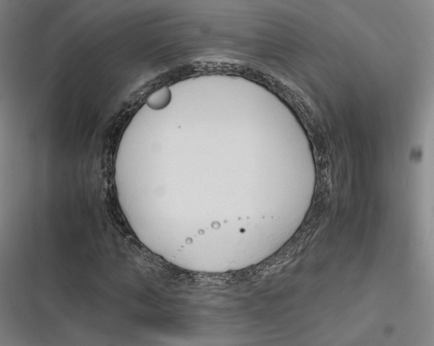 X0000116680870201001111330