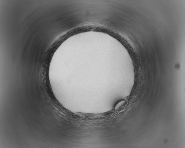 X0000116680872201001111330