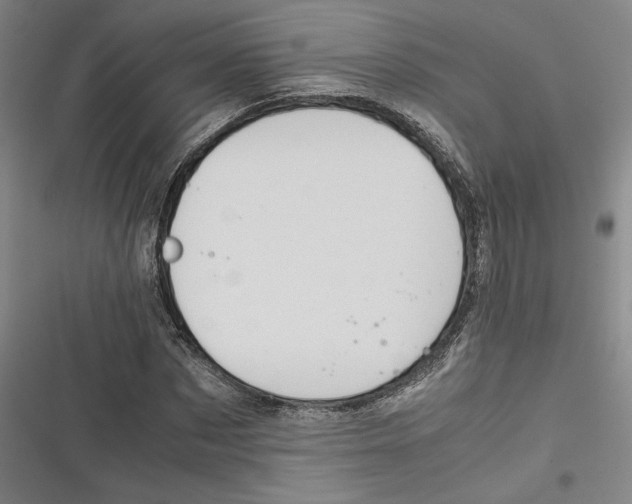 X0000116680873201001111329