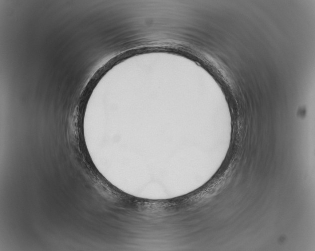 X0000116680875201001111329